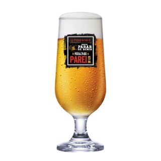 Taça de Cerveja Blumenau Frases  Li Tudo 310 ml