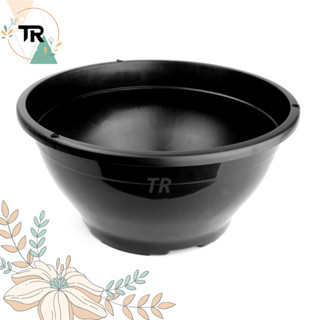 kit 10 vaso cuia 21 capacidade 2 litro para rosa do deserto