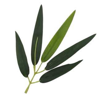 Kit Com 60 Folhas de Bambu de Árvore Mossô Artificial Permanente em Oferta na Shopee