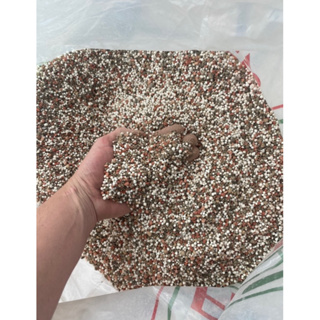 Adubo Fertilizantes NPK 10 10 10 5kg Plantas, Flores, Rosas Deserto, Samambaia em Oferta na Shopee