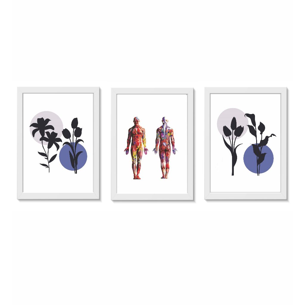 Kit 3 Quadros Decorativos Anatomia do Corpo Humano Medicina Fisioterapia Molduras 20x30cm Madeira Vidro Brancas