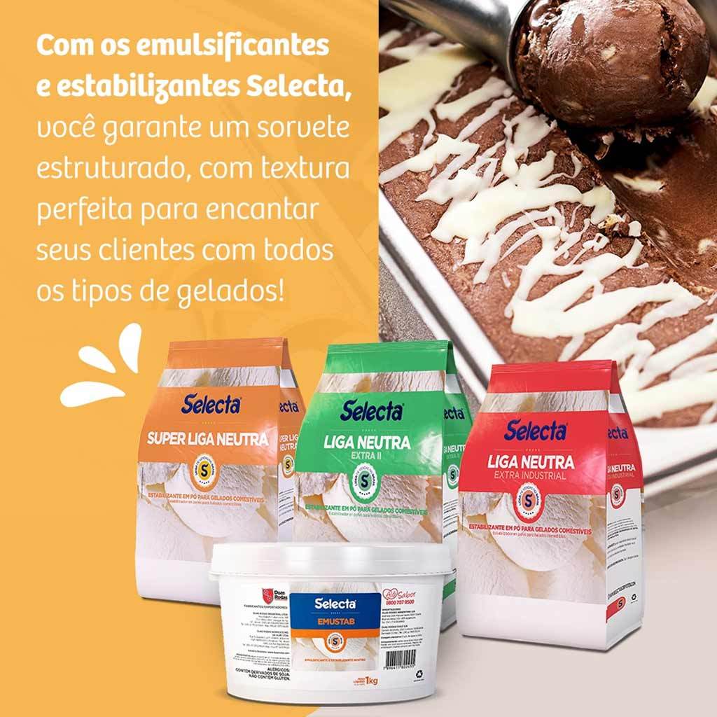 Kit Verão Sorvete Base para Sorvete Emulsificante e Liga Neutra - Escolha o Tamanho Selecta · foto 2