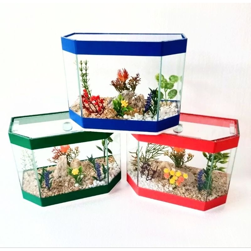 Aquário Vidro  Hobby, Decorado 20x10x15 2,5lts Pedras naturais ,Peixe Betta em Oferta na Shopee