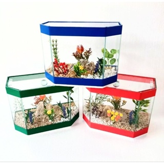 Aquário Vidro  Hobby, Decorado 20x10x15 2,5lts Pedras naturais ,Peixe Betta em Oferta na Shopee