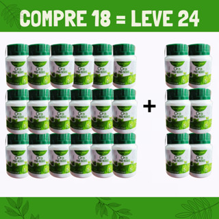 Ora Pro-Nóbis - Kit com 24 Unidades - Pronta Entrega
