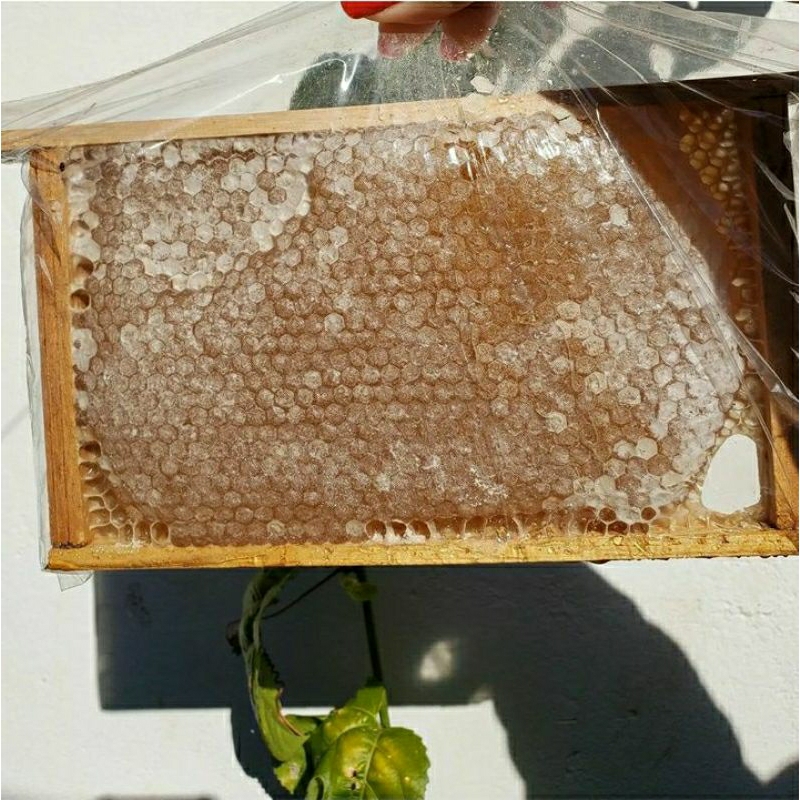 Favo de mel - Favo de mel na madeira -15x20cm  - Favo de mel no quadro - favo de mel com moldura em Oferta na Shopee