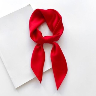 Lenço Cetim Vermelho