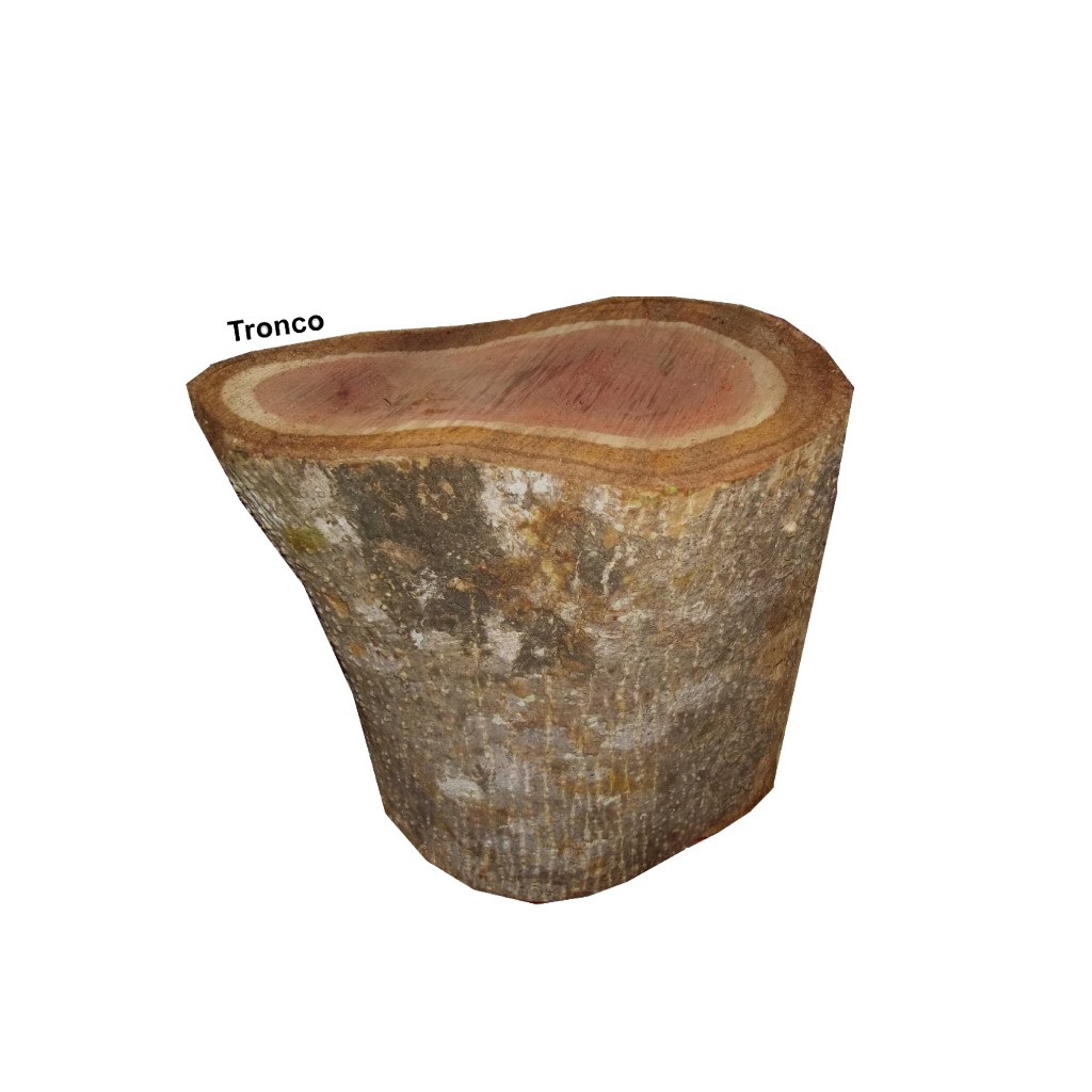 Banco Tronco Madeira na Black Friday 2025 | BuscaProdutos