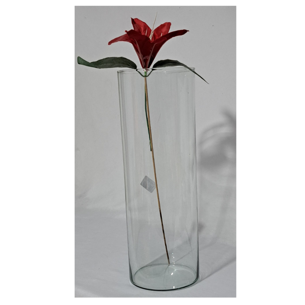 Vaso tubo de vidro cilíndrico grande 30x10cm decoração arranjo flores decorativos em Oferta na Shopee