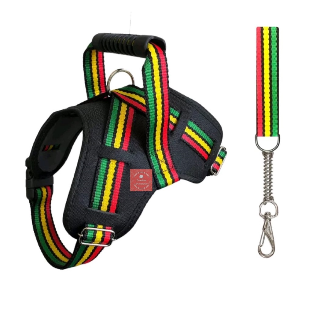 Peitoral Cachorro Coleira Guia Para Cão Grande Porte Pit Bull Fila Golden Resistente