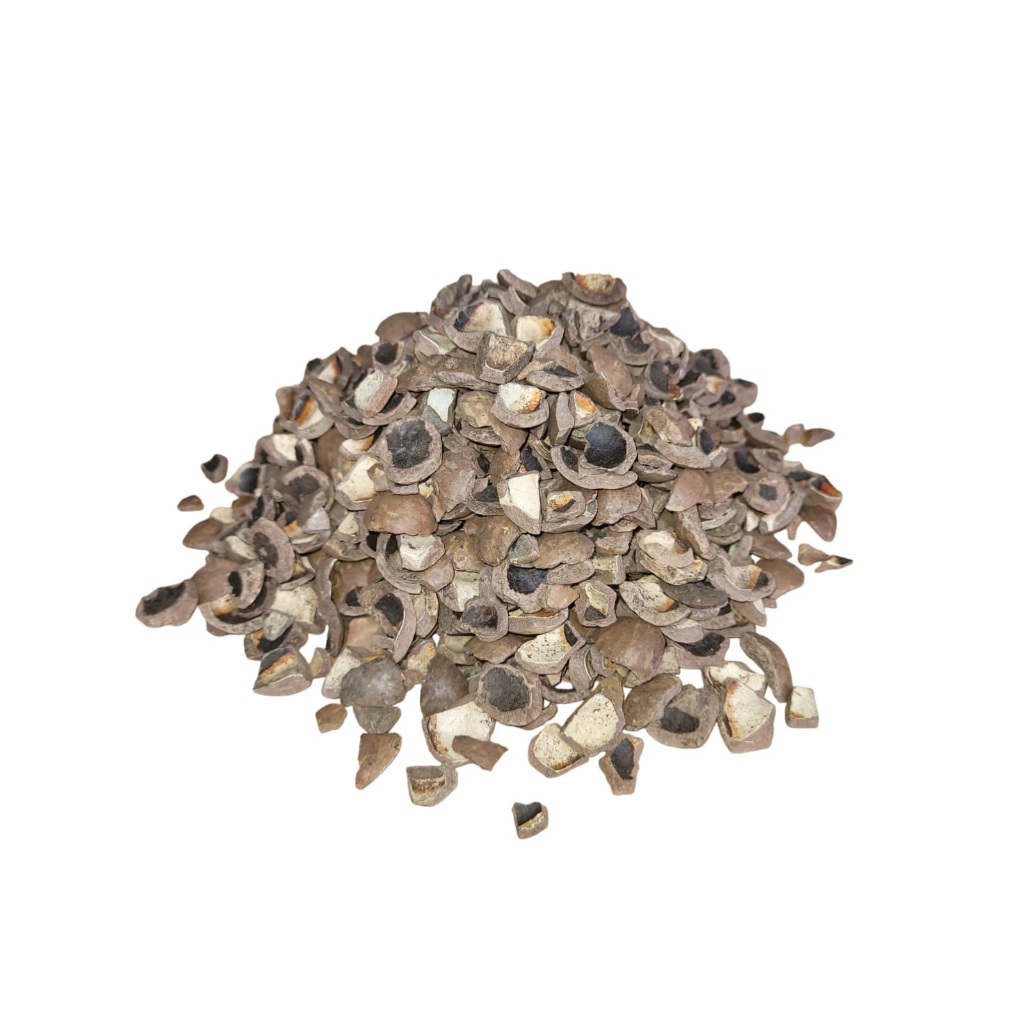 2kg Casca de Macadâmia substrato para Orquídeas em Oferta na Shopee