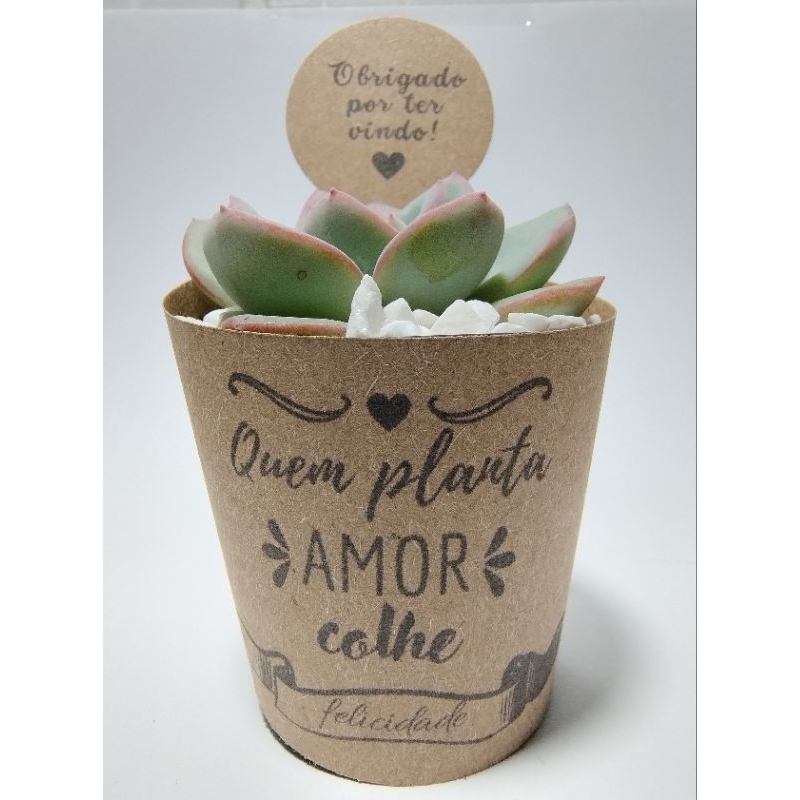 Rótulo personalizado + Tag de Brinde para lembrancinha de suculentas em casamento aniversario bodas formatura igreja