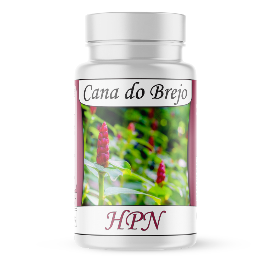 Cana do brejo (Costus spicatus) natural 60 cápsulas/500mg saúde urinária