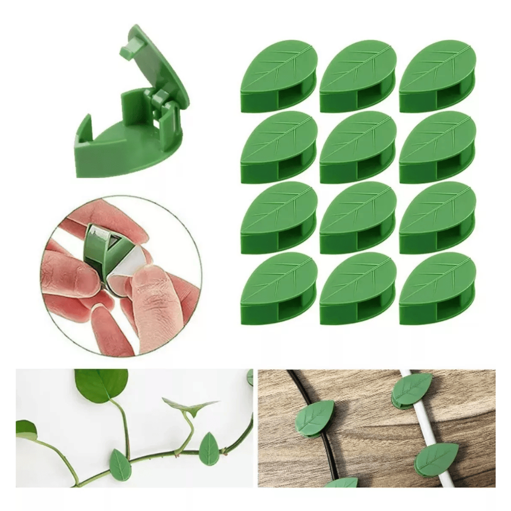 Gancho Prendedor Clip Parede Trepadeira Galhos Auto Adesivo Planta 10 A 30 Unidades em Oferta na Shopee