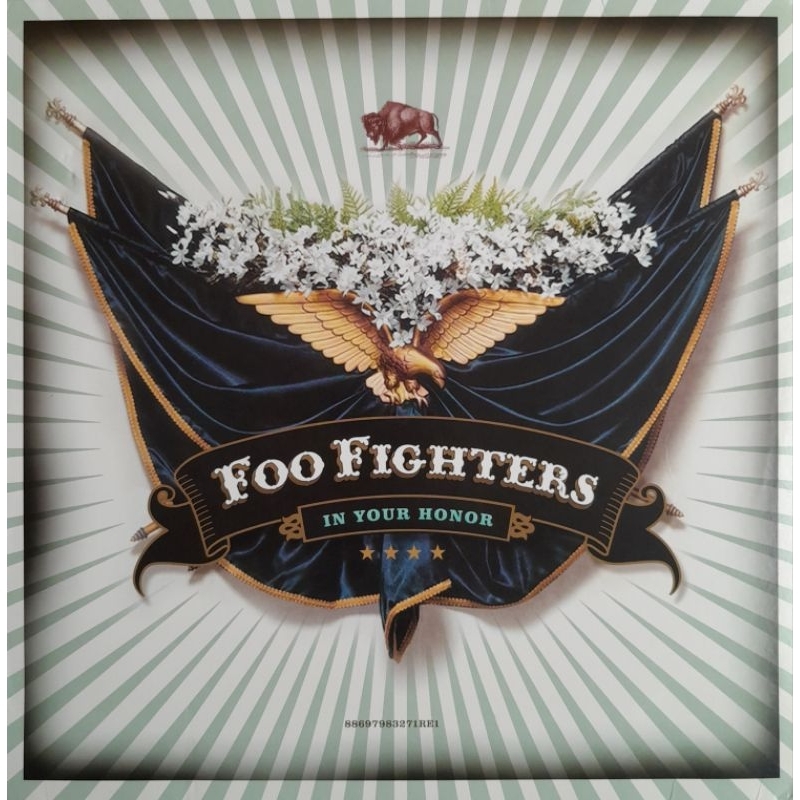 Foo Fighters - In your honor - lp duplo importado - vinil