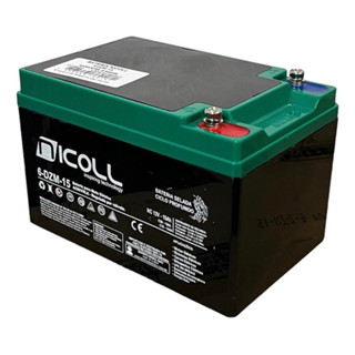 Bateria Global 12v 15ah Ciclo Profundo 6-dzm-12 Ev12-15
