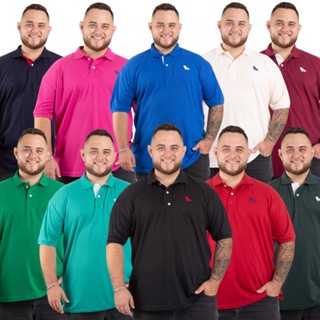 1 CAMISETA POLO MASCULINA PLUS SIZE DIRETO DA FABRICA . br