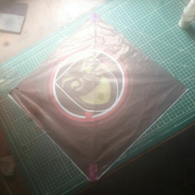 RAIA BATE PALMA 50X50  PCT 5 UNIDADES