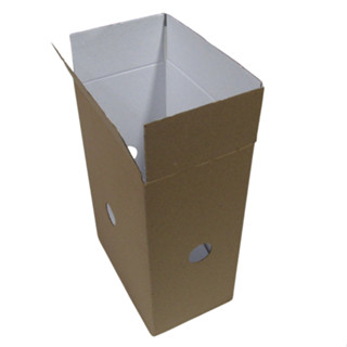 Kit 10 Caixas Para Picolé Envio 22,5x16x5x10 Papelão Resistente