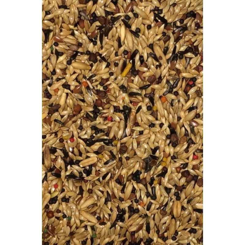 Mistura de sementes para Canário (CRIADOR) 10 kgs em Oferta na Shopee