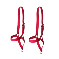 Kit Dois Cabresto Fita De Nylon Bezerro, Bode e Vaca Envio Imediato