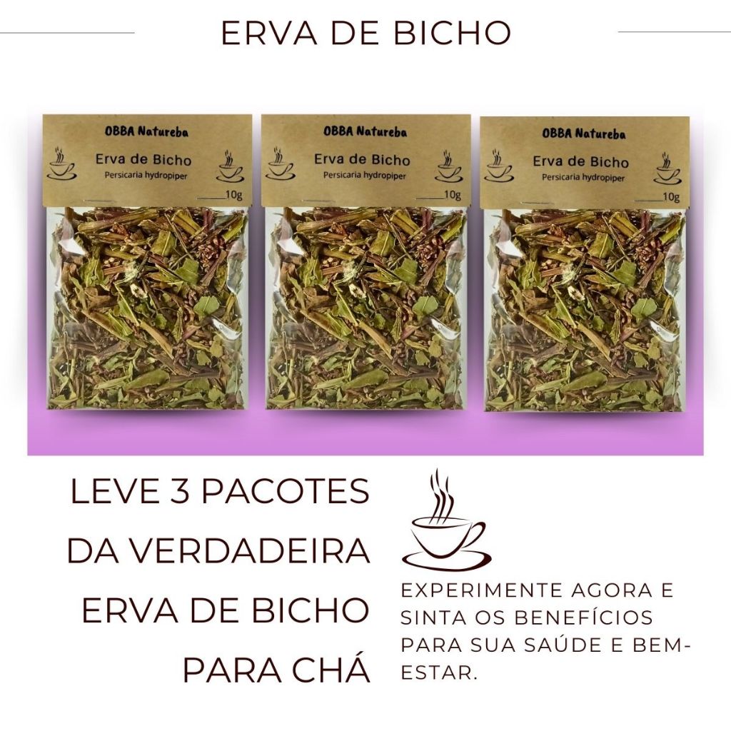 Kit 3 Chás Erva de Bicho | Legítima Erva de Bicho| Premium Envio Imediato
