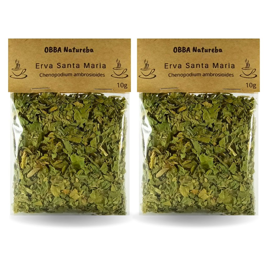 Kit 2Chás Erva de Santa Maria | Legítimo Erva de Santa Maria Premium Envio Imediato