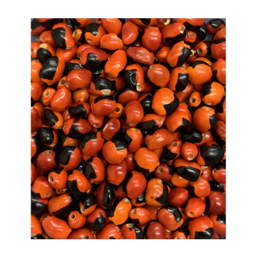 50 unidades fava de Exú olho de cabra com furo plidas e tratadas. em Oferta na Shopee