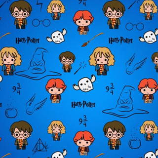 Tactel microfibra estampa digital HARRY POTTER