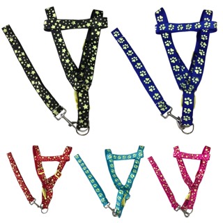 Guia Com Peitoral Coleira Neon Brilha no Escuro Para Passeio P/M/G/GG Patinha ou Estrela Cachorro Gato Segurança Noturno Proteção Pet LR-0202/LR-0203 em Oferta na Shopee