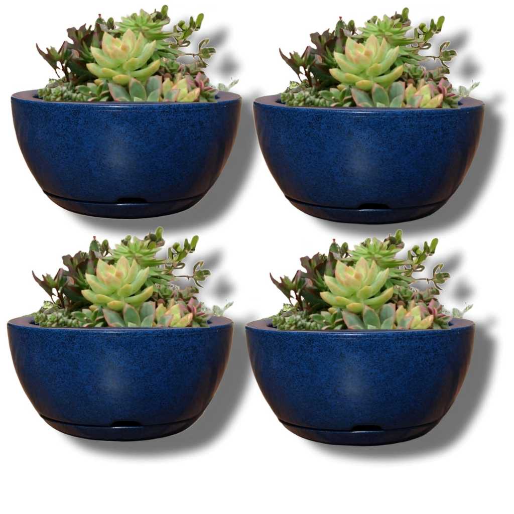 Kit 4 Vasos Polietileno Bacia N1 Cuia Lisa com prato Para Planta suculentas e cactos em Oferta na Shopee