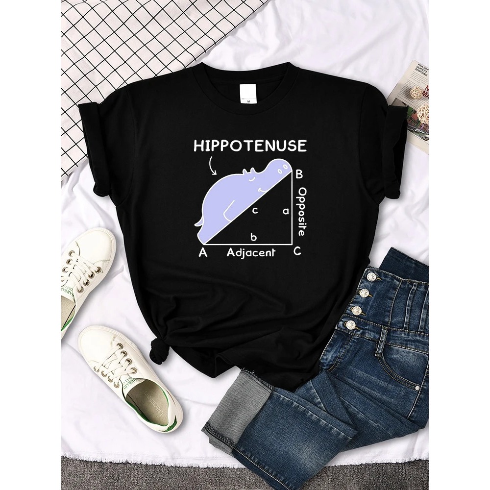Camiseta Básica Algodão Feminina Hippotenuse Funny Math