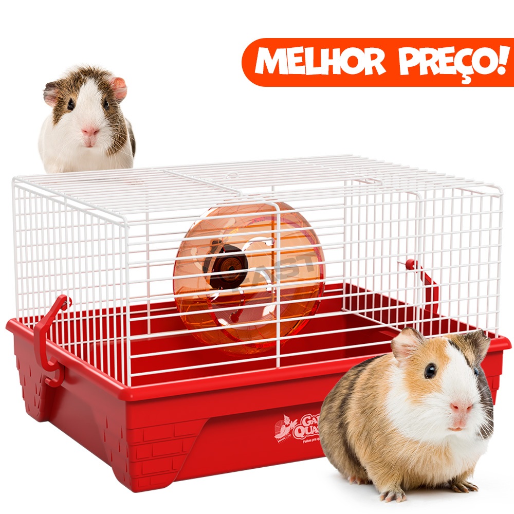 Gaiola Gaiolinha Para Hamsters Porquinhos da Índia e Roedores Pet Casa Transporte Completa Com Brinquedo Roda de Exercícios Bandeja Plástica Material Plástico e Alumínio Resistente - ENVIO IMEDIATO