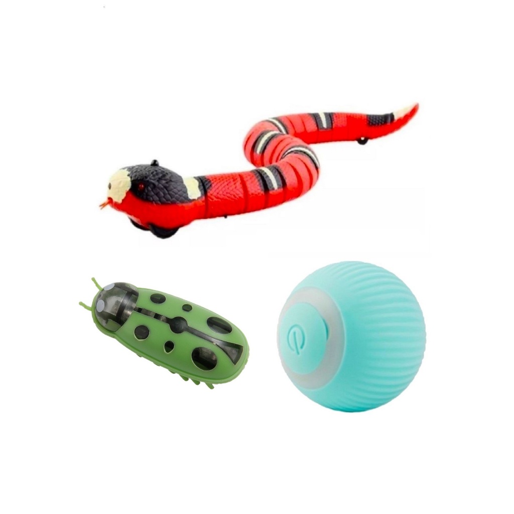 KIT com 3 Brinquedos BOLA COBRA JOANINHA Interativos Gato PRONTA ENTREGA Usb Recarregavel Caes Cachorro PET Cama racao 3D Eletrica Gatos areia Animais de Estimação Brincadeira Seu Pet Merece!