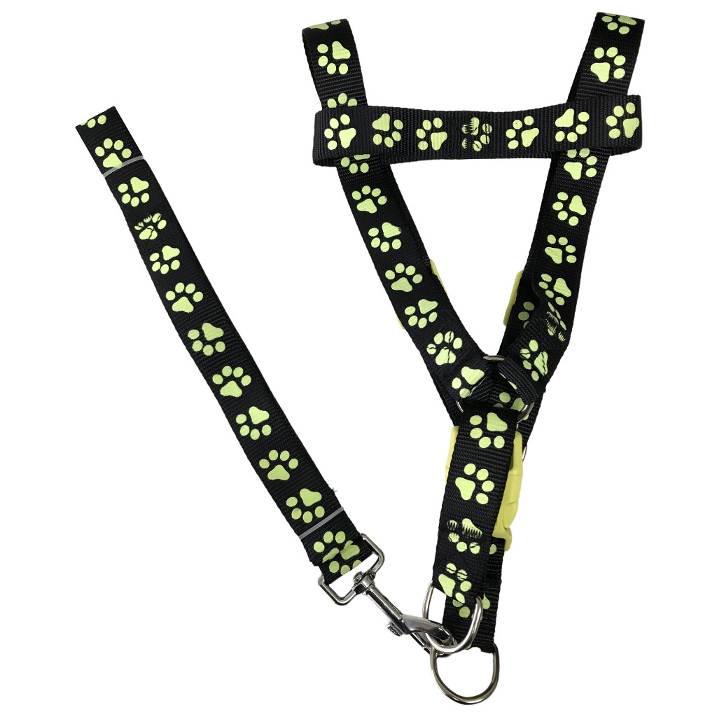 Guia Com Peitoral Coleira Neon Brilha no Escuro Para Passeio P/M/G/GG Patinha ou Estrela Cachorro Gato Segurança Noturno Proteção Pet em Oferta na Shopee