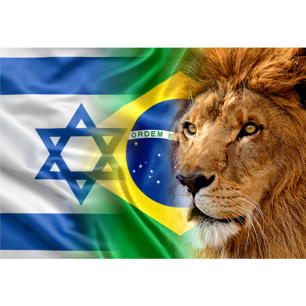 Bandeira de Israel e Brasil: Onde Comprar | BuscaProdutos