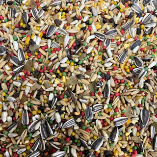 RAÇÃO MISTURA PARA TRINCA FERRO 500 G