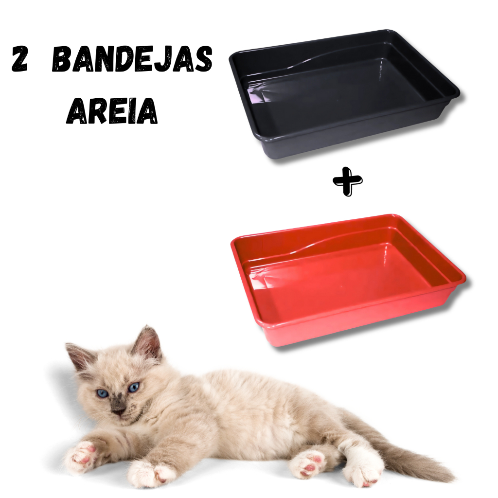 Kit 2 Caixas de Areia para Gato Bandeja Sanitária Pet Gatinho Recipiente de Plástico em Oferta na Shopee