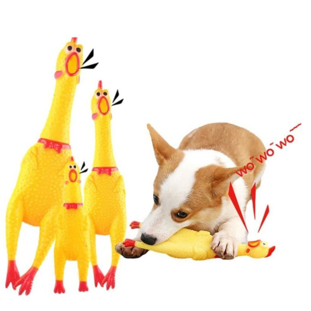 Brinquedo cachorro brinquedos pet Caerus Perfeito para Aliviar o Estresse do seu Cachorro 16 Cm