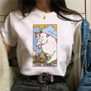 Camiseta Básica Algodão Feminina the Fool Funny Meme Cat