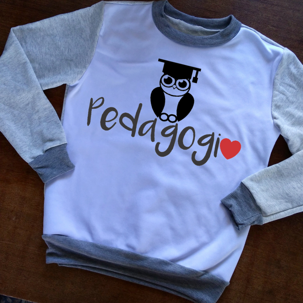Blusa de Pedagogia com Coruja - Moletom Feminino