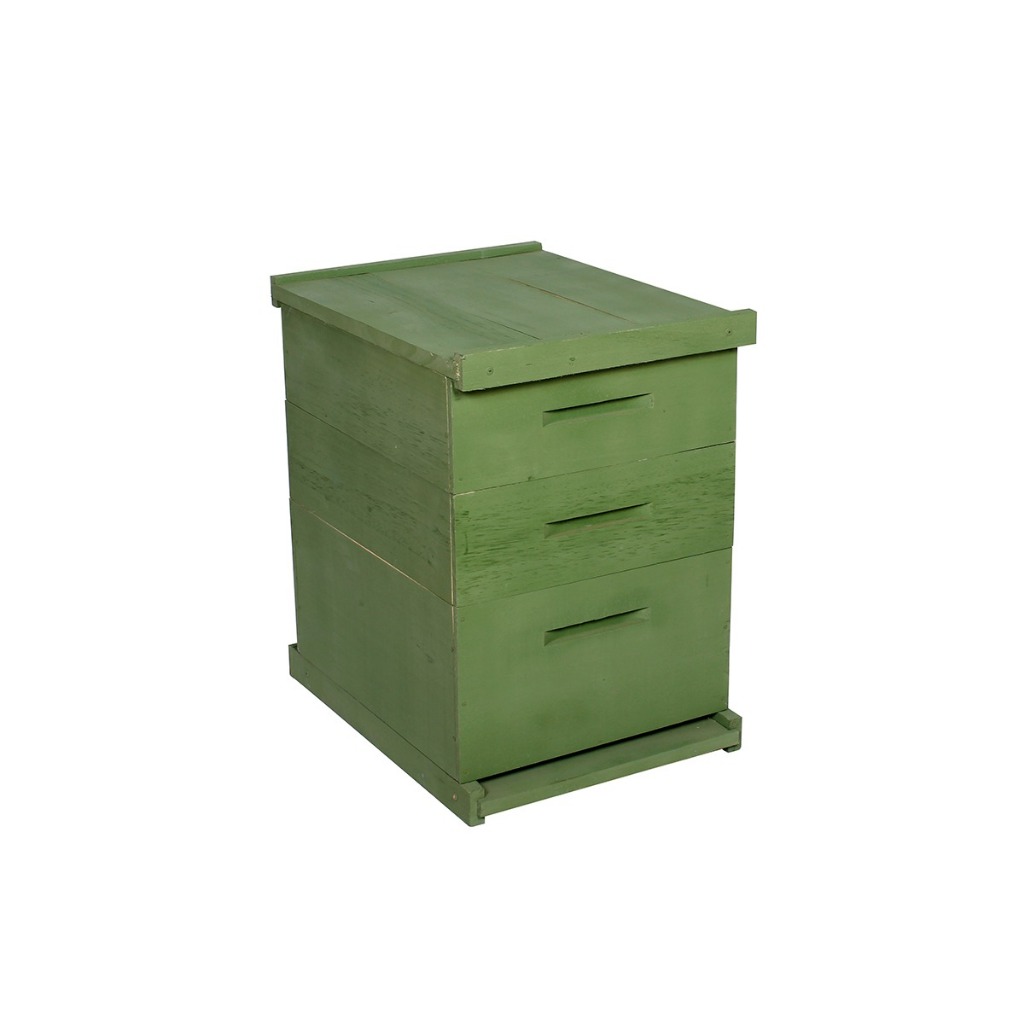 Caixa Abelhas Langstroth Eucalipto Verde 2 melgueiras s/arame