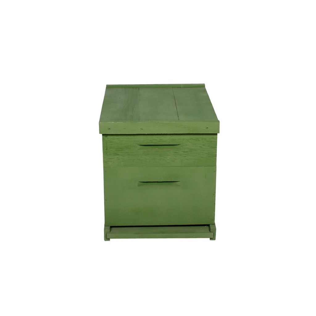 Caixa Abelhas Langstroth Eucalipto Verde 1 melgueira c/arame