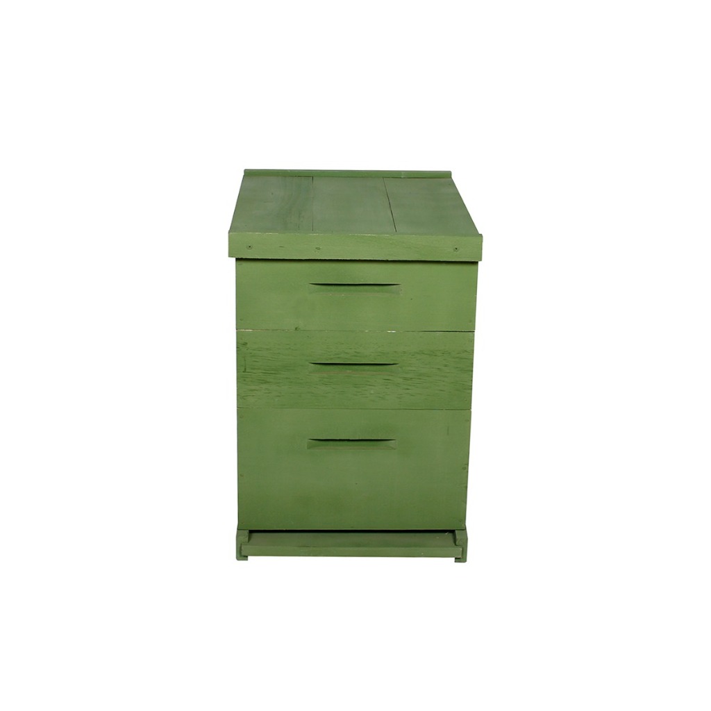 Caixa Abelhas Langstroth Eucalipto Verde 2 melgueiras c/arame
