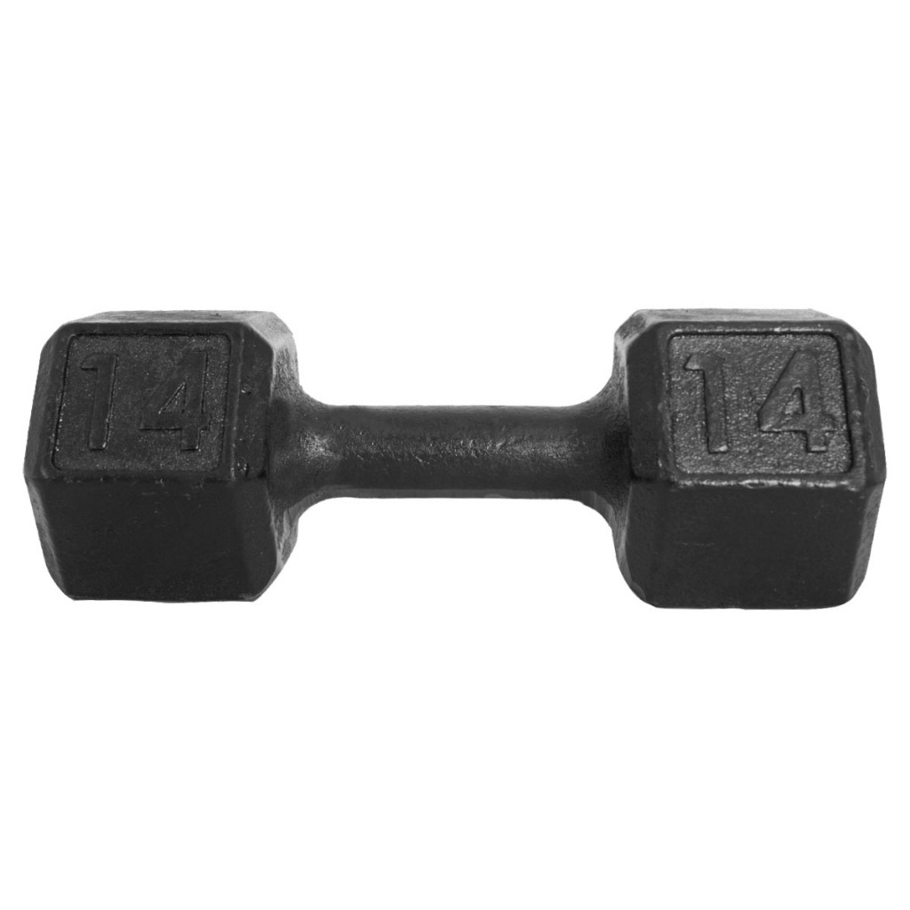 Halter Dumbbell Sextavado Pintado 14Kg Peso de Academia Para Treino Em Casa E Musculação