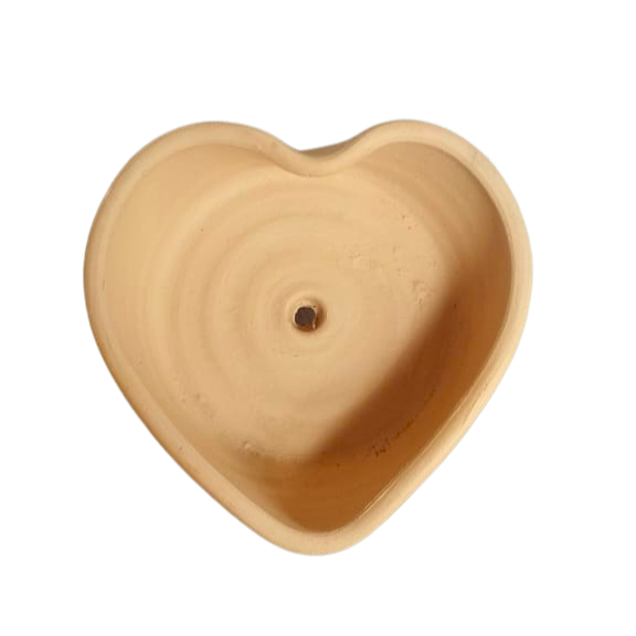 Bacia para Plantar Suculentas: Onde Comprar | BuscaProdutos