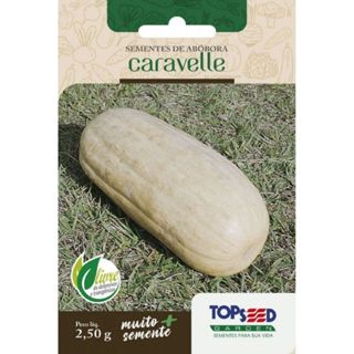 Semente De Abóbora Caravelle Topseed - Envelope 2,5g