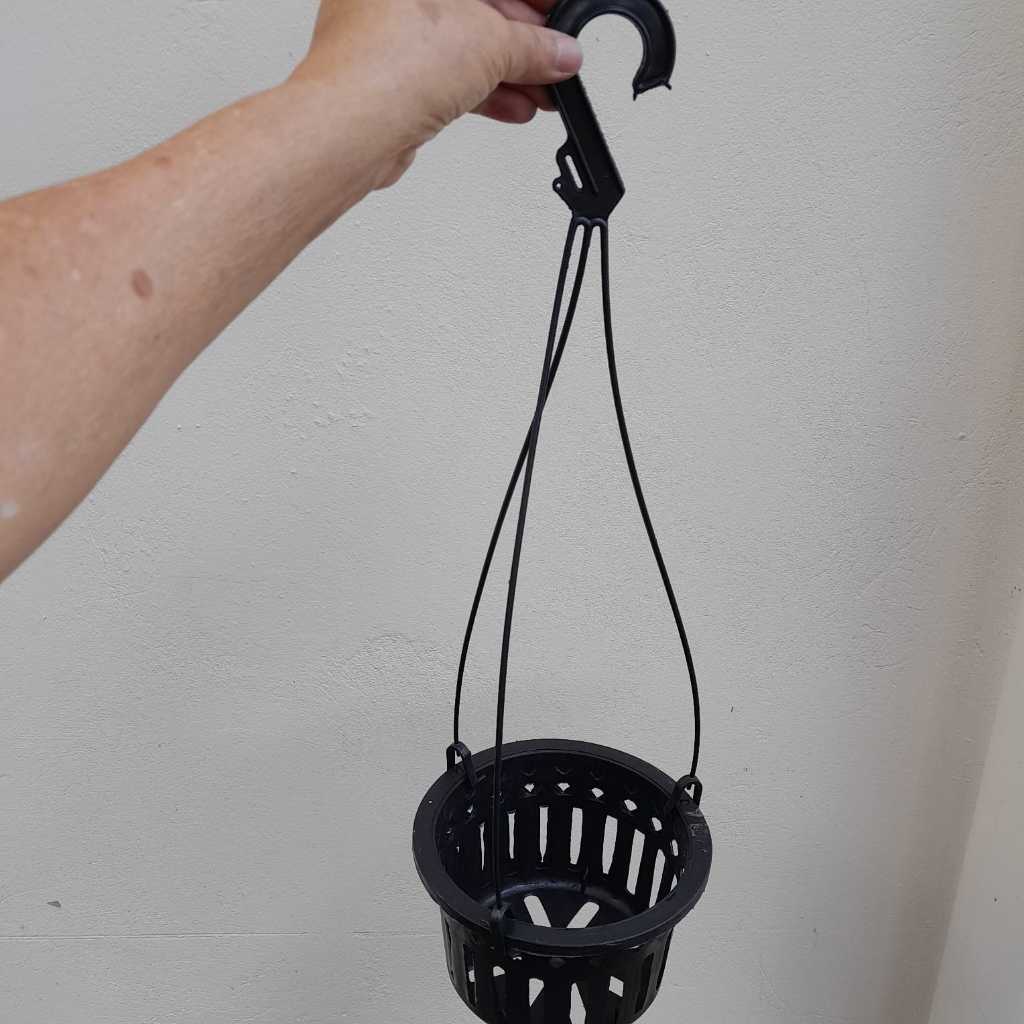 Kit para Orquídea Vanda: 1 Vaso Cesta Vazado Grande, 1 Suporte E 2 Tubetes