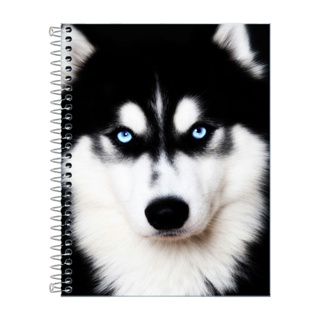 Caderno Husky Escolar 1, 10  ou 20 materias em Oferta na Shopee