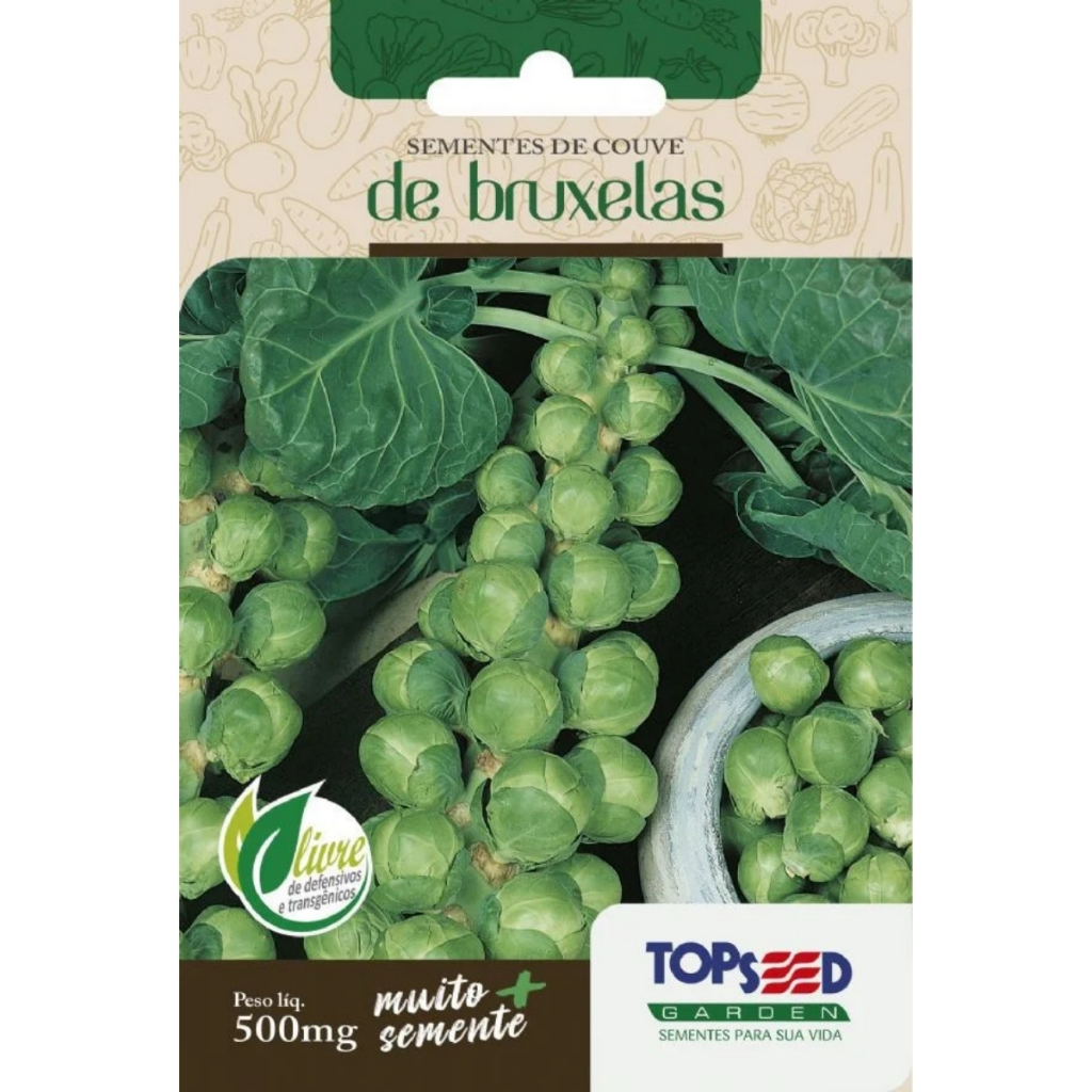 Semente De Couve-de-bruxelas Topseed Sem Agrotóxico - Envelope 500mg em Oferta na Shopee